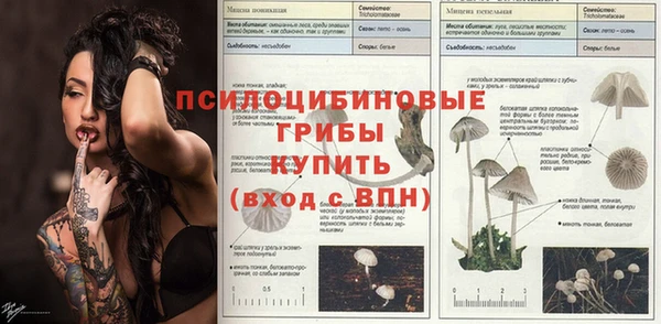 прущий лед Михайловск