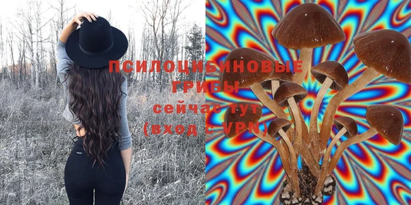 прущий лед Михайловск