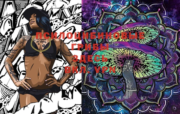мяу мяу мука Михайлов